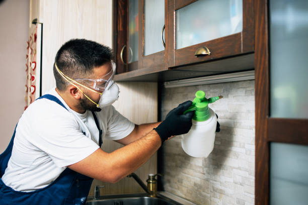 Best Commercial Pest Control Services  in Dollar Bay, MI
