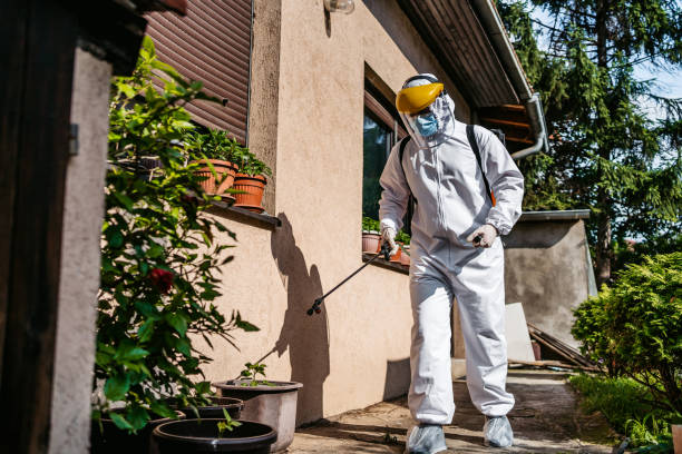 Best Affordable Pest Control Services  in Dollar Bay, MI