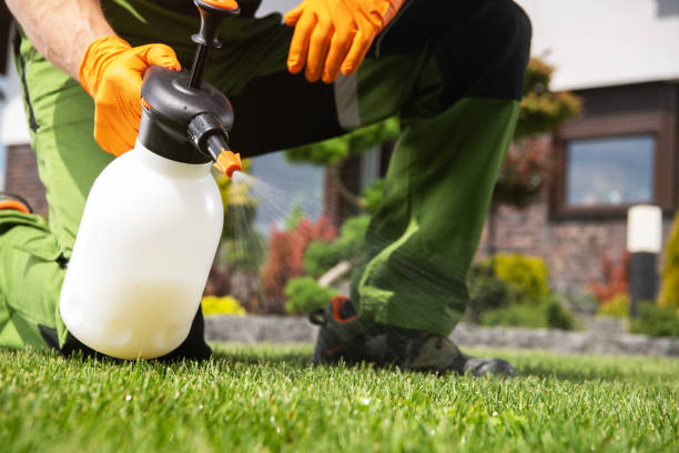Best Exterminator Services  in Dollar Bay, MI