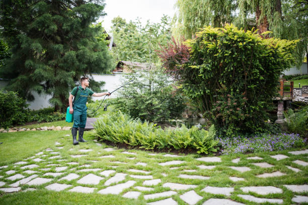 Best Best Pest Control Companies  in Dollar Bay, MI