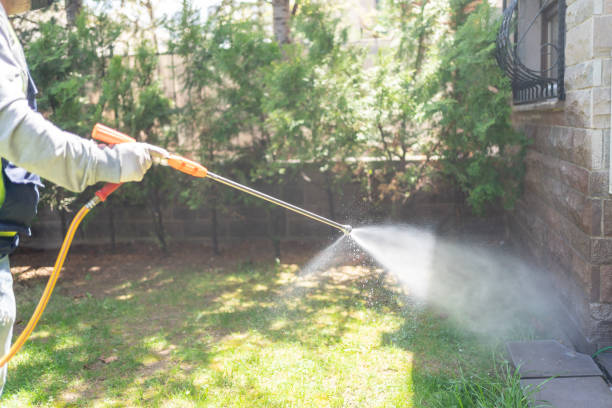 Best Ant Control Services  in Dollar Bay, MI