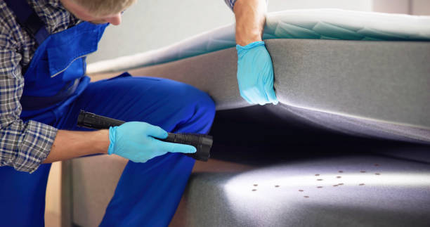 Best Local Pest Control Services  in Dollar Bay, MI