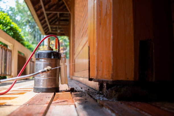 Best Mosquito Control Services  in Dollar Bay, MI