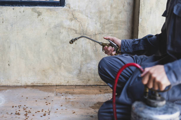 Best Wasp Removal Services  in Dollar Bay, MI